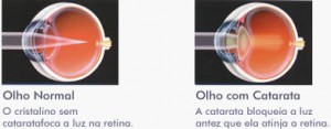 infografia01